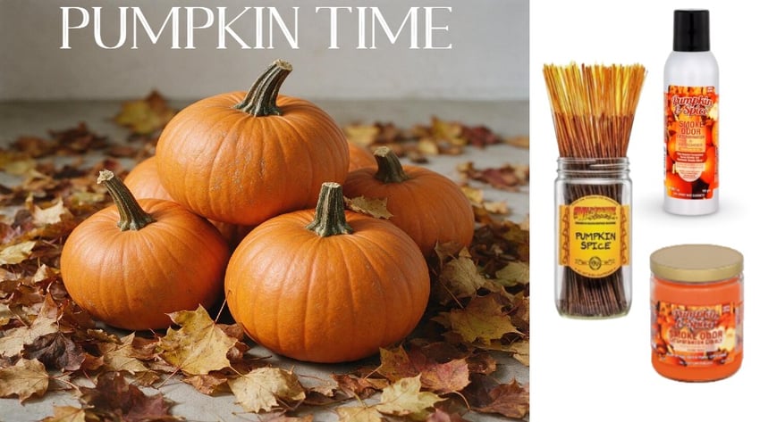 assets/images/Pumkin Time 970x540 A2.jpg